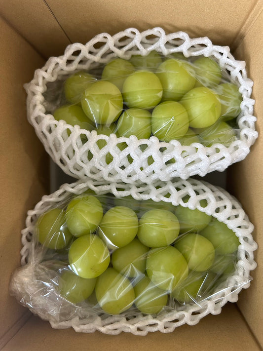 【Limited Sets Order Deadline Jan. 30! For Thailand Customers Only Shipping Included ‐ Delivery scheduled for early February, Great Gift for Lunar New Year】Farm to Table Yamanashi Shine Muscat Grapes| Taste of Japan