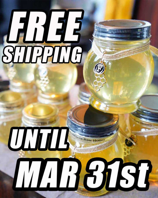 Until Mar 31st, Free Shipping Campaign for Japanese Products!